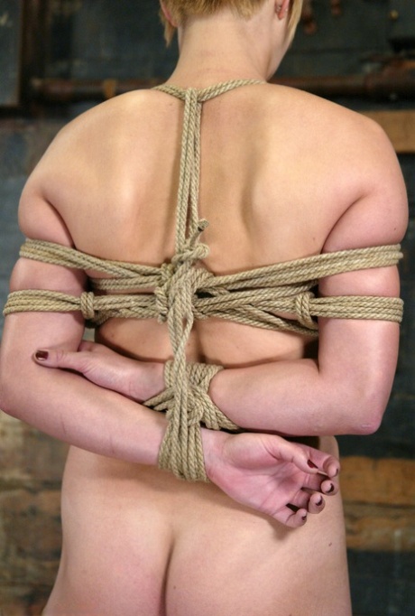 Hogtied performed by Vendetta XXX Porn Pics