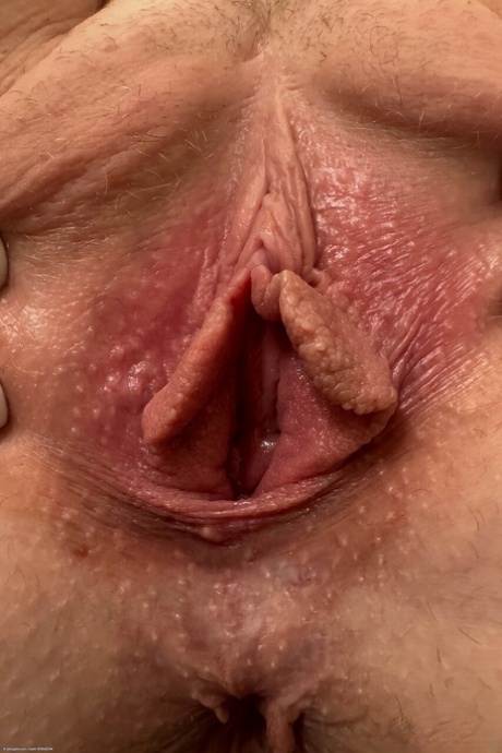 ATK Galleria performed by Gigi Sweets Porn XXX